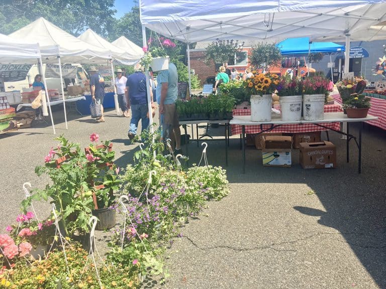 Jersey Shore Farmers’ Markets Going Beyond The Blueberries