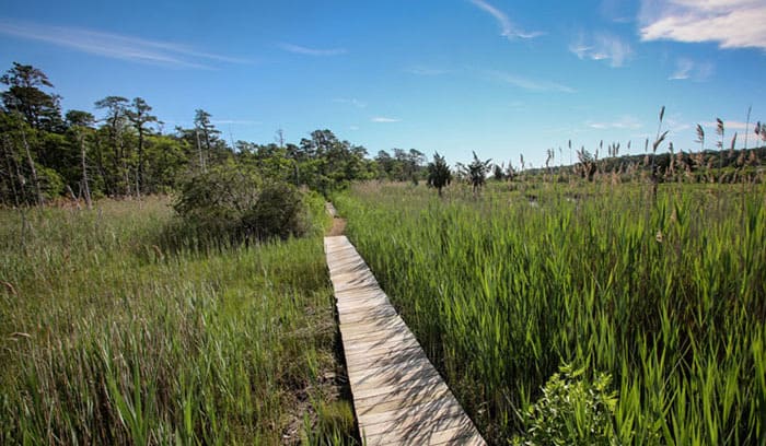 Ocean County Parks And Recreation Releases New App - Jersey Shore Online