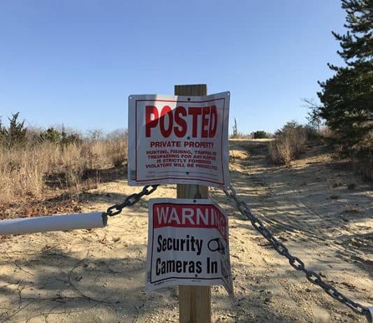 Currently the land where a housing development will go is overgrown. (Photo special to the Toms River Times)