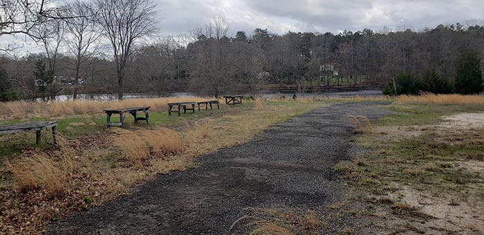 A pristine environmental area will be preserved as part of the township’s planned purchase of 34 acres of land. (Photo by Bob Vosseller)