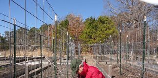 Volunteers have been getting the Wrangle Brook Community Garden ready for planting. (Photo by Patricia A. Miller)