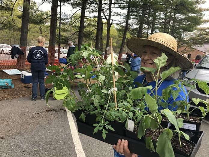 Susan Payne Gato carries some vegetables at the end of the sale. (Photo by Chris Lundy)