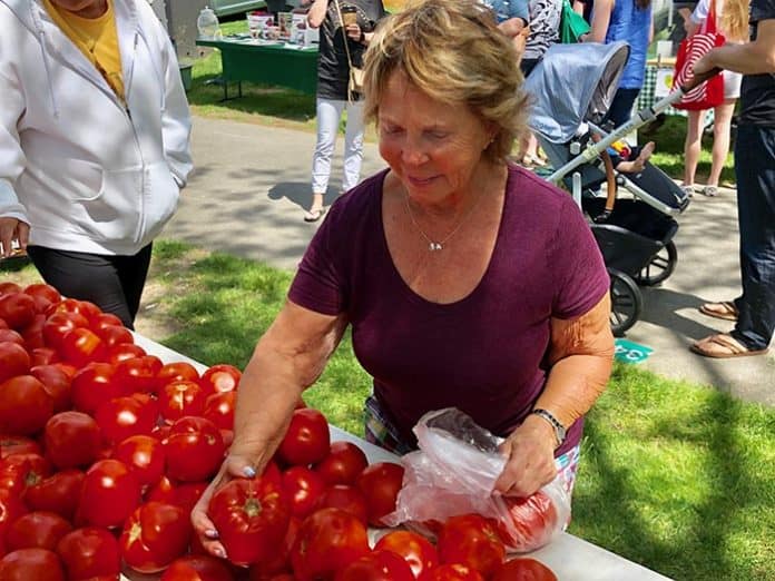 Hannah Infantolino of Brick checks out the tomatoes. (Photo by Judy Smested-Nunn)