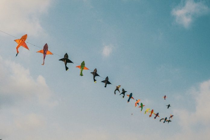 Kites. (File photos)