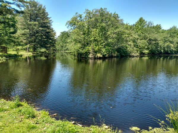 Bear Swamp Is A Wild Area That Hides Part Of History - Jersey Shore Online