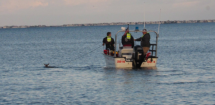 First Responders Rescue Deer From Toms River Lagoon