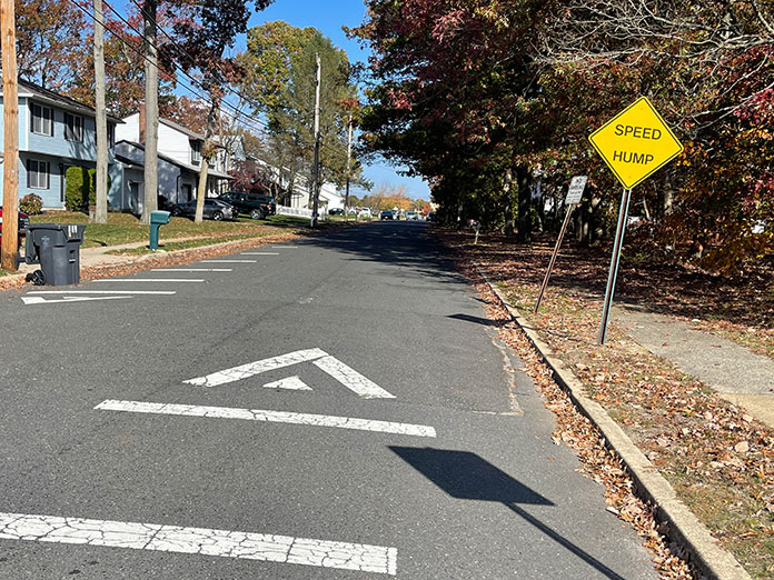 Officials: Speed Bumps Not A Cure-All