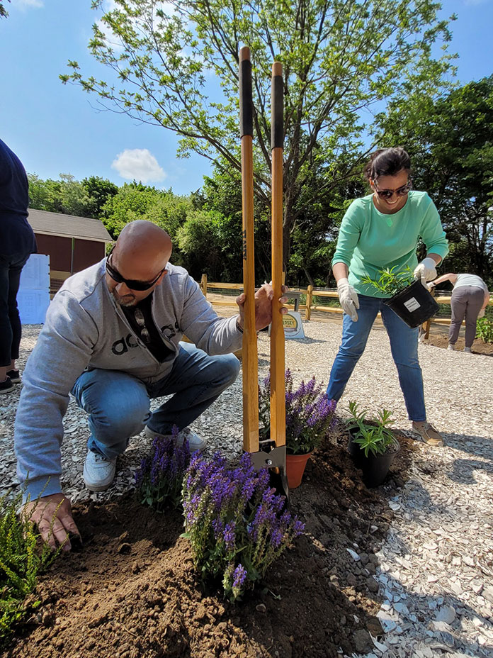 Pollinator Garden Grows At Havens Homestead - Jersey Shore Online