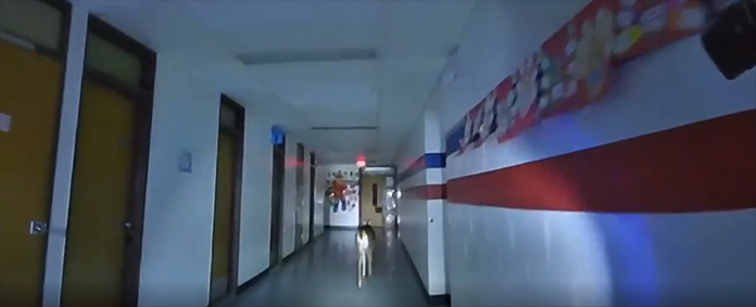 VIDEO: Deer Breaks Into Toms River School