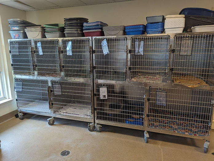 Fate Of Toms River Animal Shelter Still In Question Jersey Shore