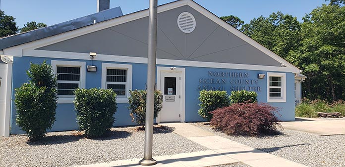 Can Ocean County Handle Influx After Animal Shelter’s Closing?