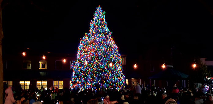 Downtown Toms River Transformed Into A Winter Wonderland