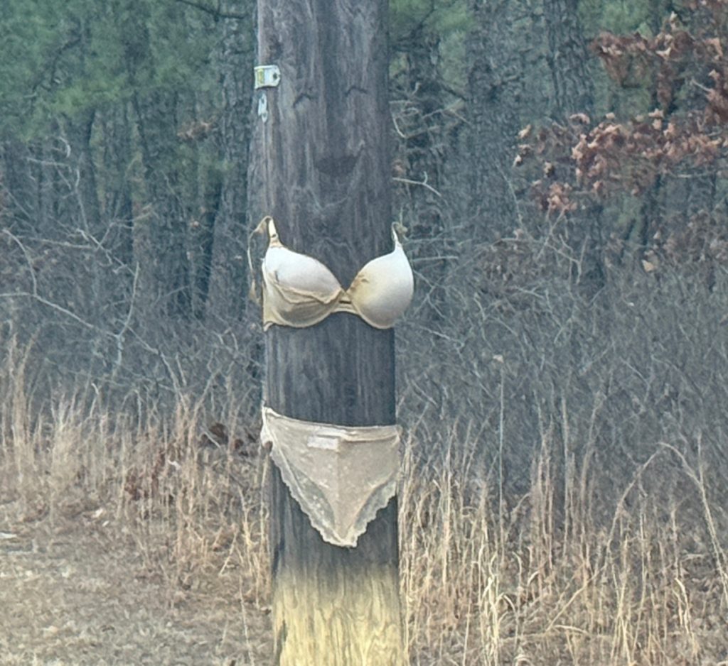 Face, Bra And Underwear On Utility Pole In Ocean County